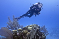   Diver Randys GazeboLittle Cayman. Cayman  